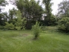 1540 Van Antwerp Rd  Rear Yard